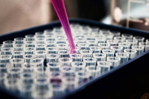 Brocacef pharmaceutical distribution — Bluerock TMS GDP-compliant TMS for Netherlands largest pharma distributor