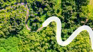 areal_pattern copia (1)